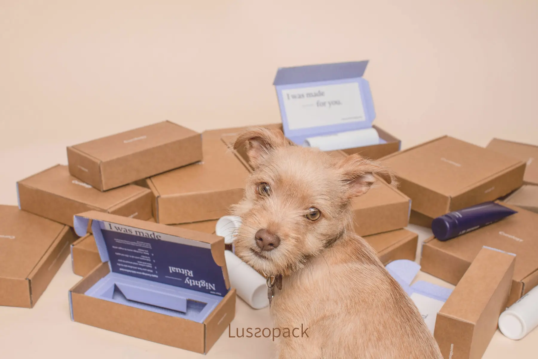 /images/packagingBlogUpdate/figureOutDimensions/figureOutDimensions02.webp